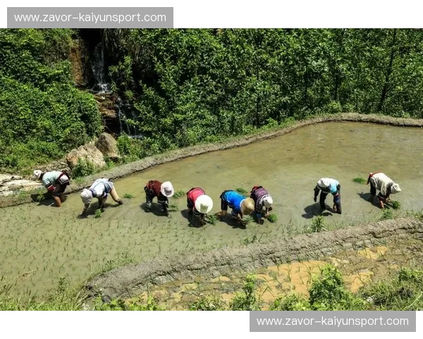开云体育补赛安排更新